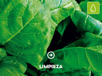 Limpieza y equilibrio FUXION