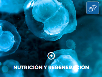 Nutrición y regeneración FUXION